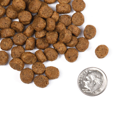 Fromm Classic Puppy Dry Dog Food - Chicken - 5lb Bag